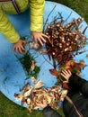 Little children playing, expolring and gardening in the garden with soil, leaves, nuts, sticks, plants, seeds during a school