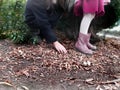 Little children playing, expolring and gardening in the garden with soil, leaves, nuts, sticks, plants, seeds during a school Royalty Free Stock Photo