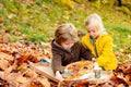 Little children seat on plaid in park eating pizza in fall autumn dressed with knitted cap and sweater on picnic.