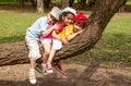 Little children sit on a tree in the park Royalty Free Stock Photo