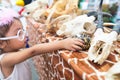 Little children and various animal skeletons.