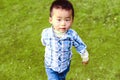 Little Chinese boy is walking park. A child on a background of grass interested looking at the camera.