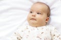 Little chubby newborn baby in a white bodysuit lying on the bed. Top view of a newborn baby on a white warm blanket. The newborn Royalty Free Stock Photo