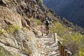 Little climber with dad go along the path to the mountains, training, natural background