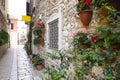 A little cobbles street in a Mediterranean country Royalty Free Stock Photo