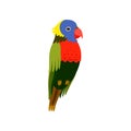 Little Colorful Bird, Cute Parrot Budgie Home Pet Vector Illustration Royalty Free Stock Photo