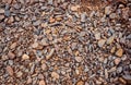 Little colourful rocks covering the ground in the beach