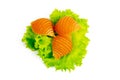 Little Conchiglie shell pasta stay on lettuce isolated on white background Royalty Free Stock Photo