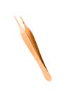 Little cooper hair tweezers Royalty Free Stock Photo