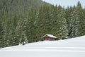 Little cottage lost in the forest