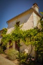 Little Cottage in the South of France