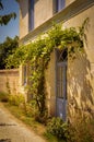 Little Cottage in the South of France