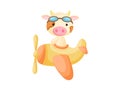 Little cow wearing aviator goggles flying an airplane. Funny baby character flying on plane for greeting card, baby shower, Royalty Free Stock Photo