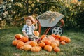 A little cowboy boy is sitting on a pumpkin in the autumn garden and trying on a hat. Halloween, costume, pumpkins