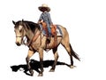 Little cowgirl on a brown horse clipart Royalty Free Stock Photo