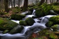 Little creek in Bavaria Royalty Free Stock Photo