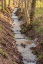 Little creek and flowing water