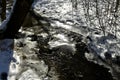 Little creek in wiinter with ice Royalty Free Stock Photo