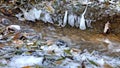 little creek in winter with ice