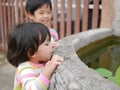 Little curious Asian baby girl`s hand hanging on the edge of a pond trying to see what is inside