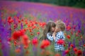 Little curly blond boy and girl play in poppy flower field. Child picking red poppies. Toddler kid in summer meadow Royalty Free Stock Photo