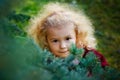 A little curly-haired girl is hiding in the garden behind a green Christmas tree. A child is playing hide-and-seek in the park Royalty Free Stock Photo