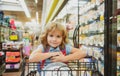 Little customer child at grocery or supermarket with goods in shopping trolley.