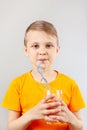 Little cut boy drinking fresh red lemonade through a straw Royalty Free Stock Photo