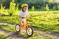 Little cute adorable caucasian toddler girl having fun riding exercise balance run bike push scooter in park forest. Royalty Free Stock Photo