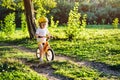 Little cute adorable caucasian toddler girl having fun riding exercise balance run bike push scooter in park forest. Royalty Free Stock Photo