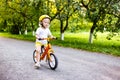 Little cute adorable caucasian toddler girl having fun riding exercise balance run bike push scooter in park forest. Royalty Free Stock Photo