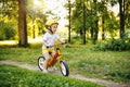 Little cute adorable caucasian toddler girl having fun riding exercise balance run bike push scooter in park forest. Royalty Free Stock Photo