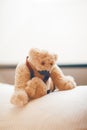 Little cute, adorable teddy bear sitting on a pillow, waiting for somebody to cuddle