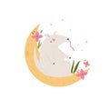 Little cute anteater sleeping on the moon. Adorable animal vector design, illustration