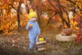 Little cute baby boy in yellow winter hat sitting on pumpkin in autumn forest alone Royalty Free Stock Photo