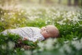 Little cute baby girl lying on the grass in the park in summer day. Royalty Free Stock Photo