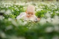 Little cute baby girl lying on the grass in the park in summer day. Royalty Free Stock Photo