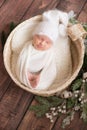 Little cute baby in a white blanket and White knitted cap in a wicker basket decorated with branches of needles and cotton