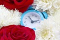 Little cute blue alarm clock surrounded by red roses and chrysanthemum heads Royalty Free Stock Photo
