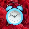 Little cute blue alarm clock surrounded by red roses heads Royalty Free Stock Photo