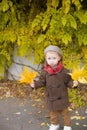 Little cute boy in an autumn coat and cap plays in an autumn park with yellow leaves