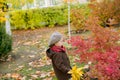 Little cute boy in an autumn coat and cap plays in an autumn park with yellow leaves