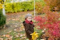 Little cute boy in an autumn coat and cap plays in an autumn park with yellow leaves