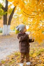 Little cute boy in an autumn coat and cap plays in an autumn park with yellow leaves