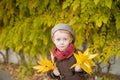 Little cute boy in an autumn coat and cap plays in an autumn park with yellow leaves