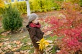 Little cute boy in an autumn coat and cap plays in an autumn park with yellow leaves