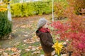 Little cute boy in an autumn coat and cap plays in an autumn park with yellow leaves