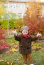 Little cute boy in an autumn coat and cap plays in an autumn park with yellow leaves