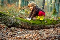 Little cute boy, in autumn sweater climbing the tree. Fall time in nature. Kids playing outdoor. Royalty Free Stock Photo