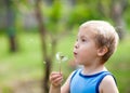 Little cute boy blond blowing a dandelion in summer. Royalty Free Stock Photo